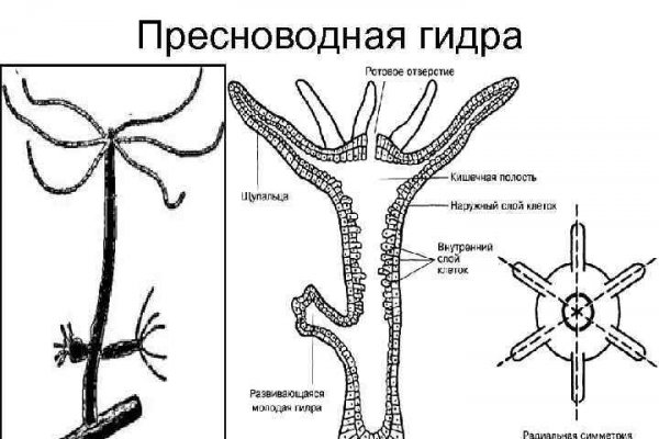 Кракен почему пользователь не найден