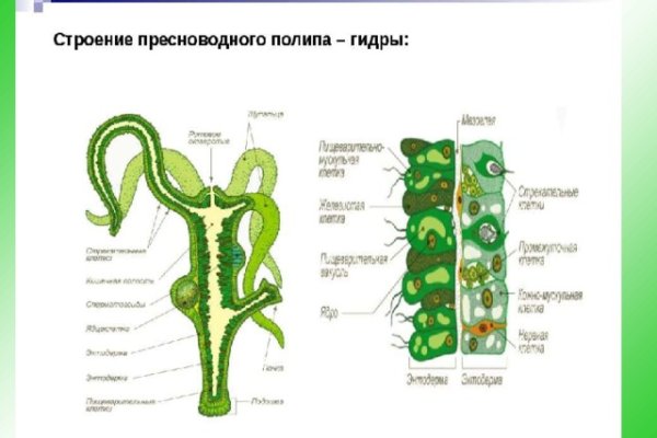 Кракен ссылка kr2link co