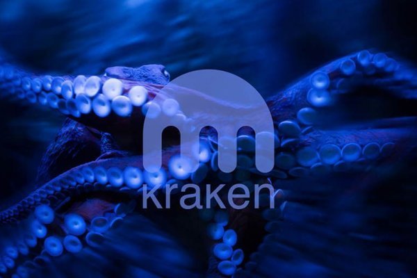 Kraken 4